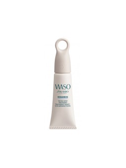SHISEIDO WASO K TINT SPOT TREATMENT GG 8ML