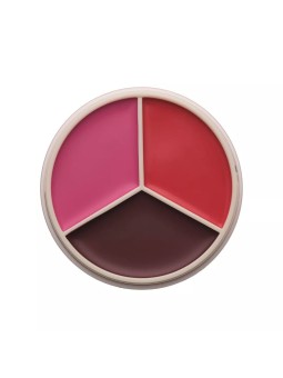 ANASTASIA BEVERLY HILLS MAGIC TOUCH TRIO BERRY ROSE